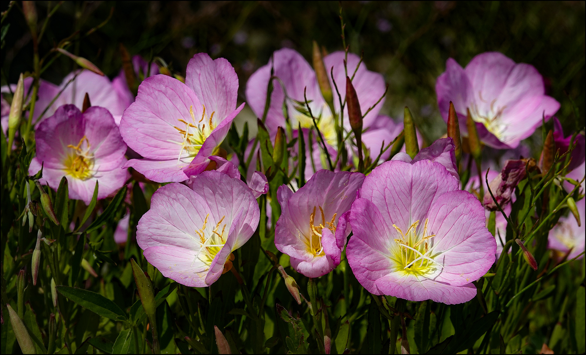 Lunchtime Photo Kevin Drum