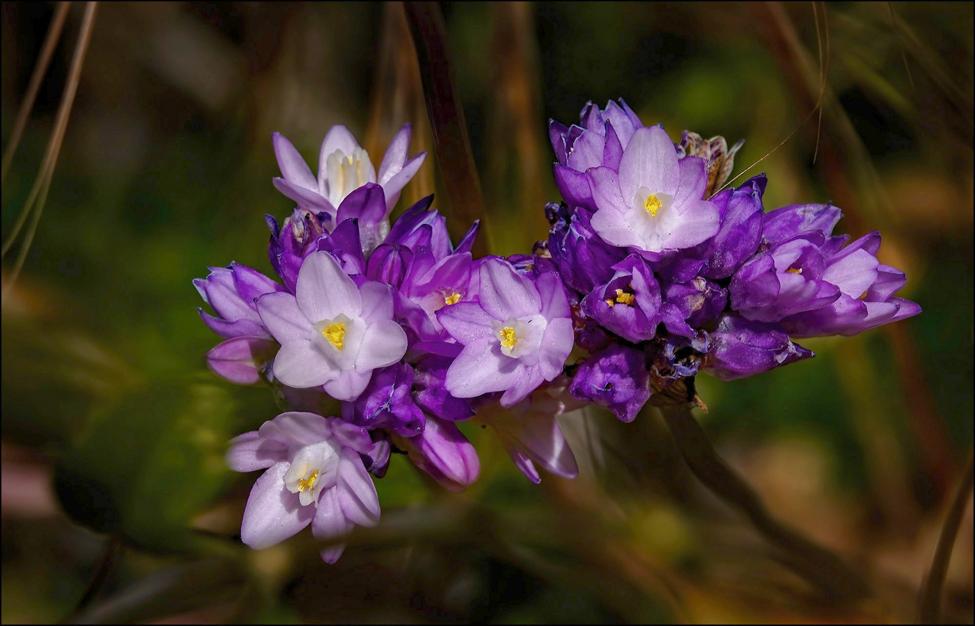 Lunchtime Photo Kevin Drum